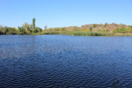 Карпова плотина: как сохранить красоту природы