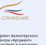 Проект волонтёрского центра «Аргумент» представляет Ростовскую область в финале премии «Служение» - Красносулинский район